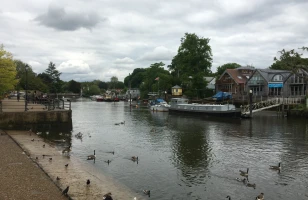 Eel Pie Island